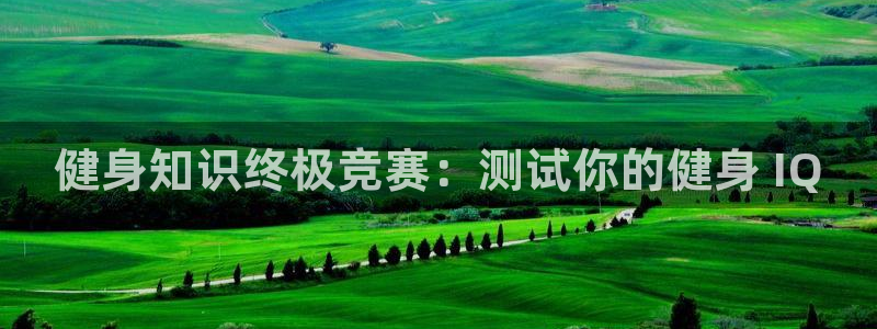 QY球友会2